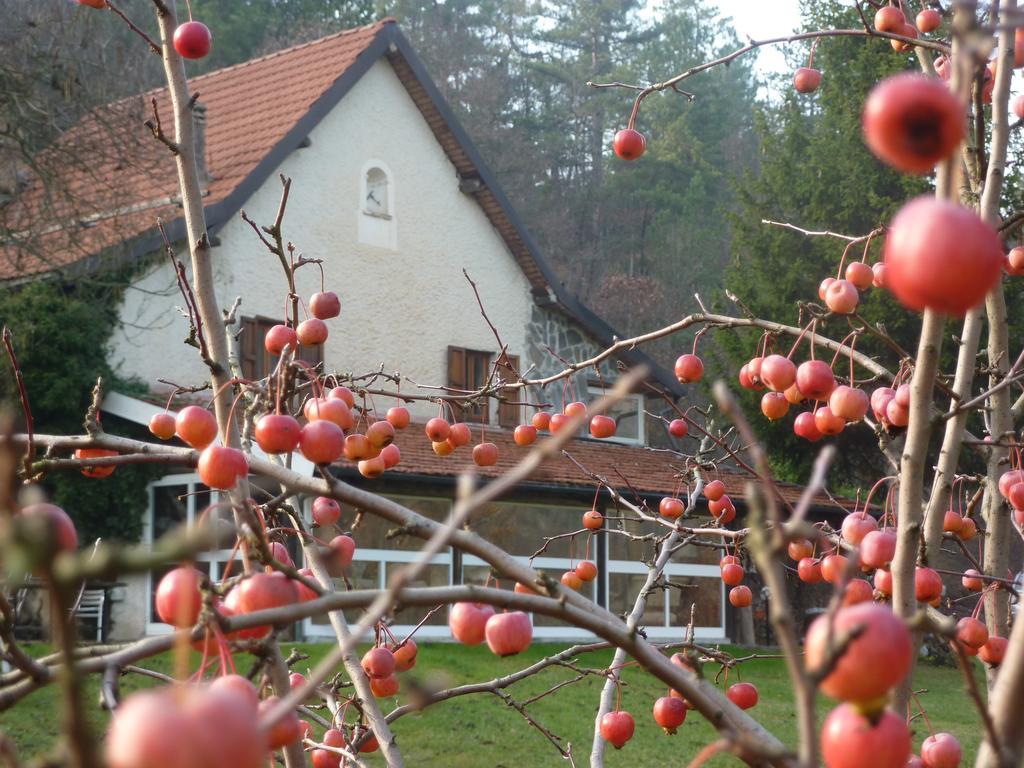 Bed and Breakfast Le Radici Sassello Esterno foto